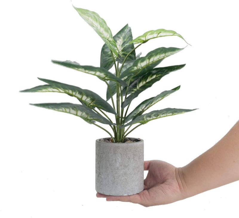 Velener Artificial Mini Rosemary Bamboo Leaves + 16" Green Taro Leaf Plant