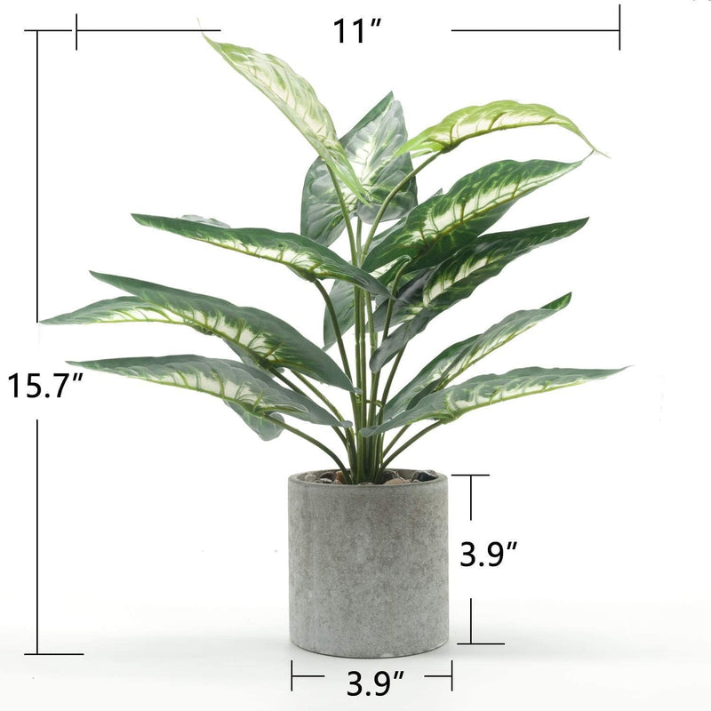 Velener Artificial Mini Rosemary Bamboo Leaves + 16" Green Taro Leaf Plant