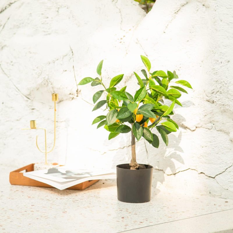 indoor bonsai lemon tree Velener Fake Lemon Tree 19"- Bonsai Tree Indoor with Pot Farmhouse Hom