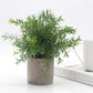 Velener Mini Plastic Fake Green Grass of Plants with Pots for Home Decor (Set of 3)