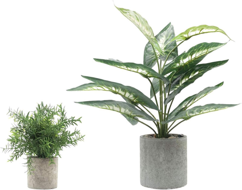 Velener Artificial Mini Rosemary Bamboo Leaves + 16" Green Taro Leaf Plant