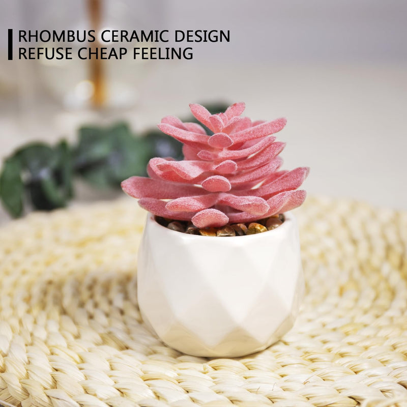 indoor succulent plants with artificial mini VIVERIE Mini Succulents Plants Artificial in Pots-Rose Pink, Small Fak – Velener