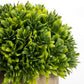 Velener Artificial Lavender Plant and Mini Grass Bundle