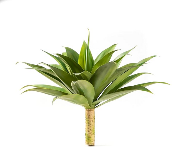Velener Pianta artificiale di agave finta, pianta grassa finta non in Velener Pianta artificiale di agave finta, pianta grassa finta non in